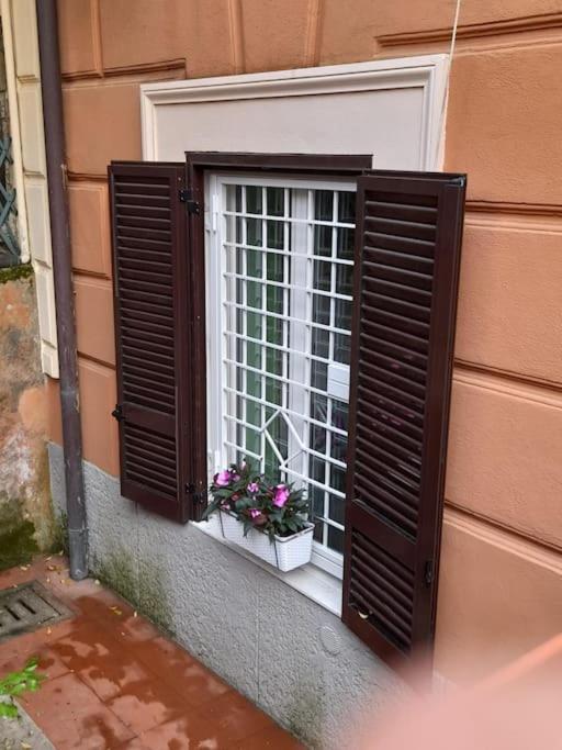 Apartment Happia Domus